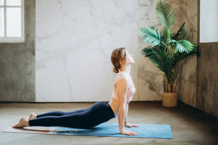 Posture and Physical Support